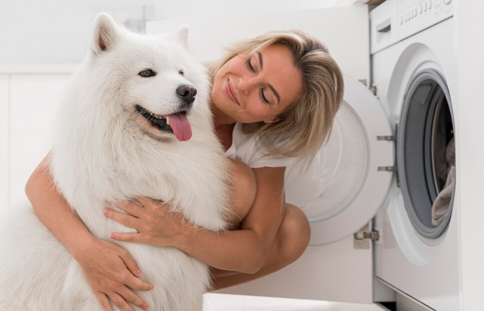 Laundry Tips for Pet Owners